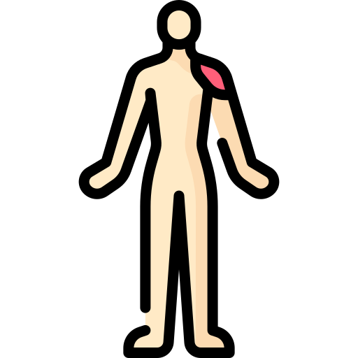 deltoides icono gratis