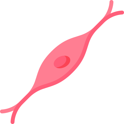 muskelzelle kostenlos Icon