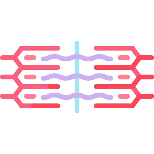 sarcómero icono gratis