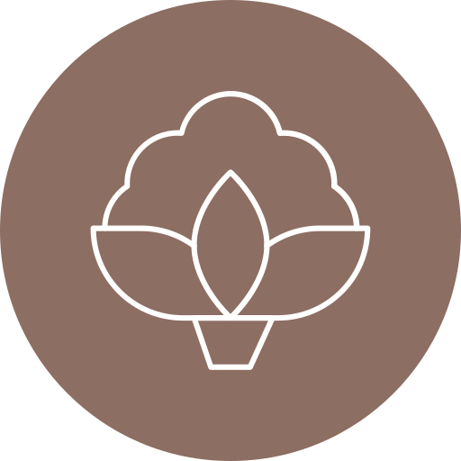 Цветная капуста бесплатно иконка