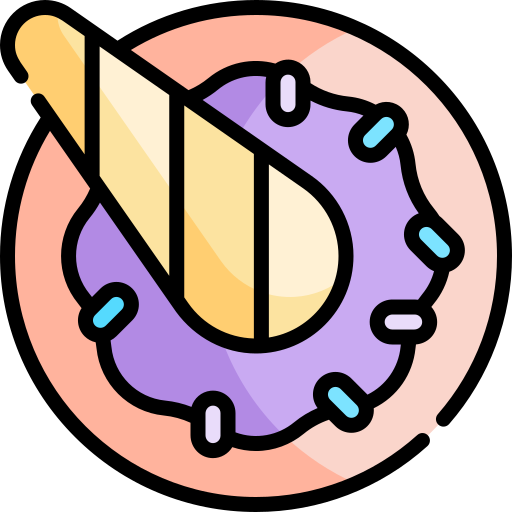 Donut free icon Donut free icon