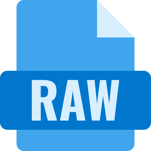 archivo raw icono gratis