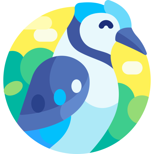 Blue jay - Free animals icons