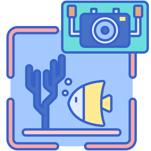 fotografía icono gratis