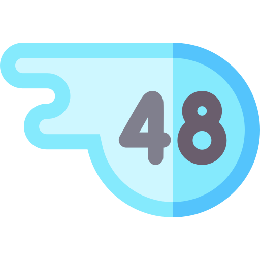 48h Icône gratuit