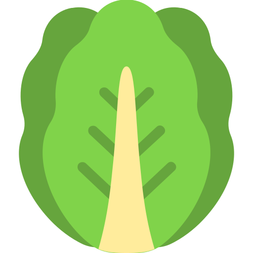 Латук бесплатно иконка