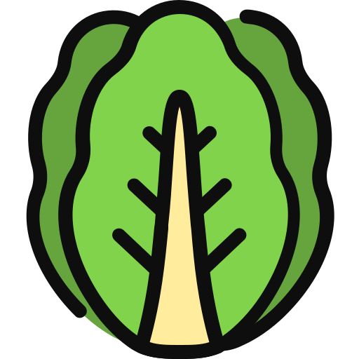 Латук бесплатно иконка