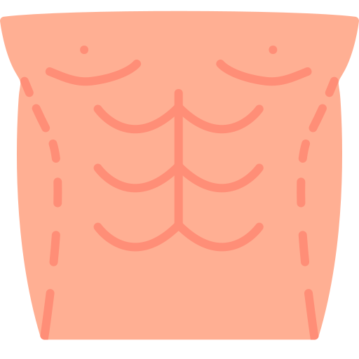 Abdominoplasty Generic color fill icon