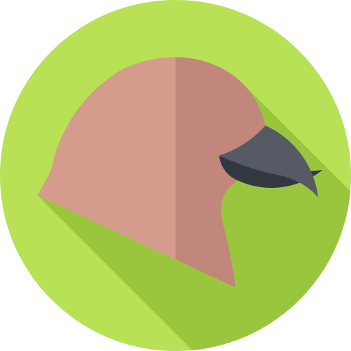 Seed eating bird free icon Seed eating bird free icon