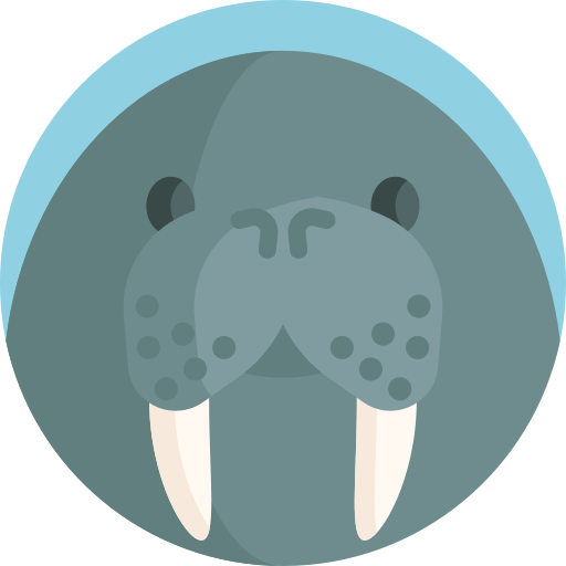 Walrus - free icon