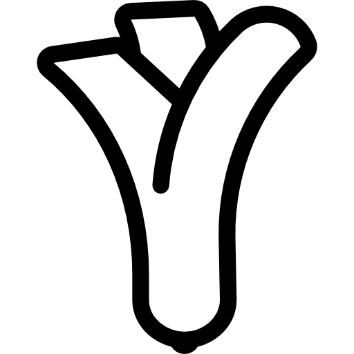 oignon Icône gratuit