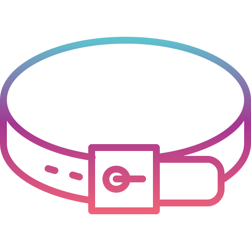 cinto grátis ícone