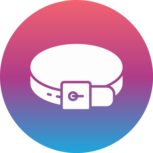 cinto grátis ícone