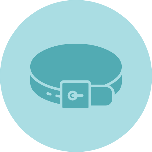 cinto grátis ícone