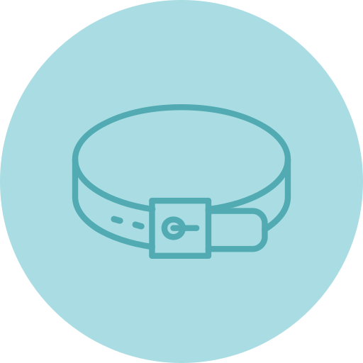 cinto grátis ícone