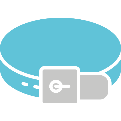 cinto grátis ícone