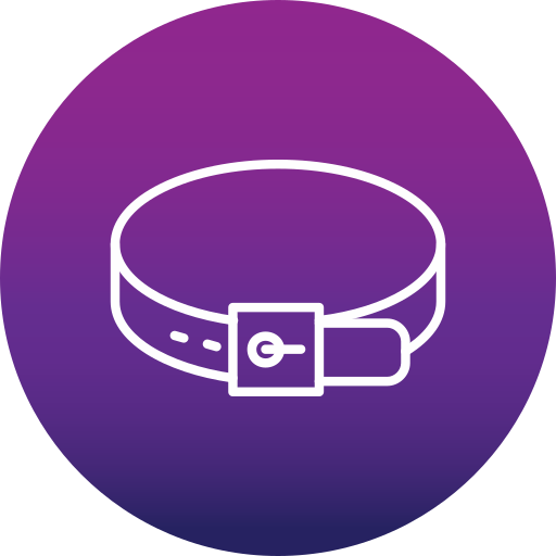 cinto grátis ícone