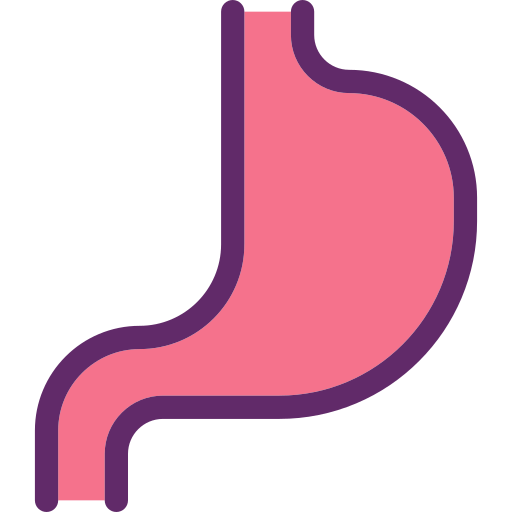 Желудок бесплатно иконка