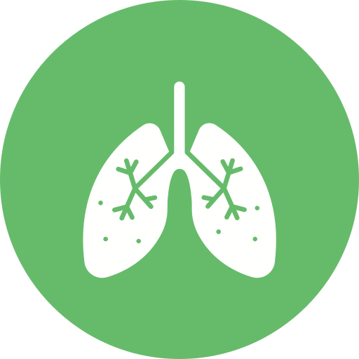 Lungs Generic color fill icon