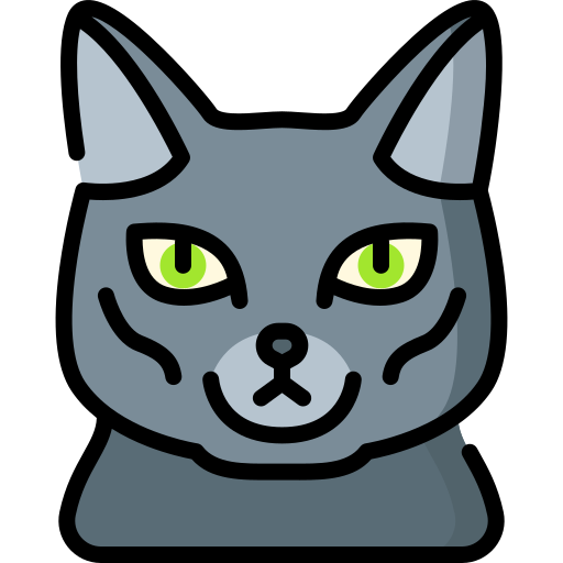 gato korat icono gratis