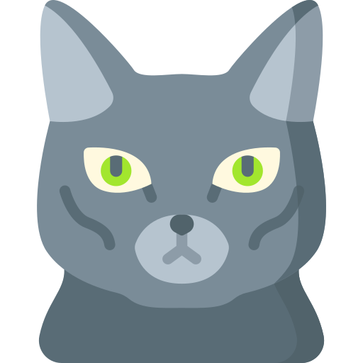 gato korat icono gratis