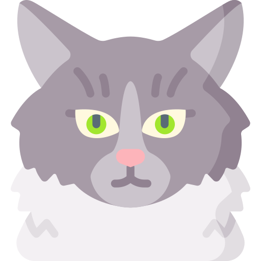 gato del bosque noruego icono gratis