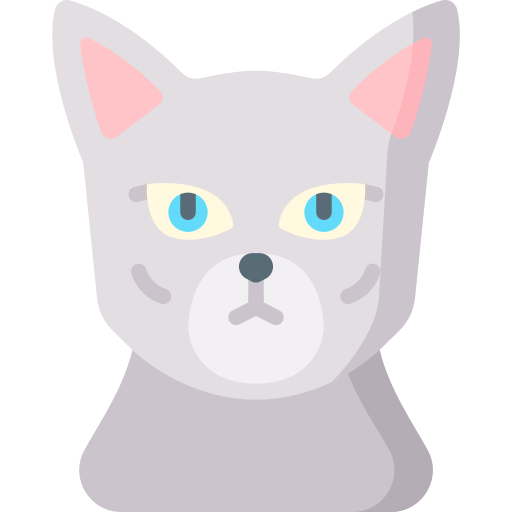 Russian blue Special Flat icon