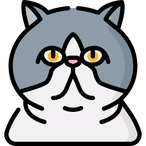 Экзотическая короткошерстная кошка бесплатно иконка