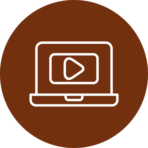 Video call Generic color fill icon