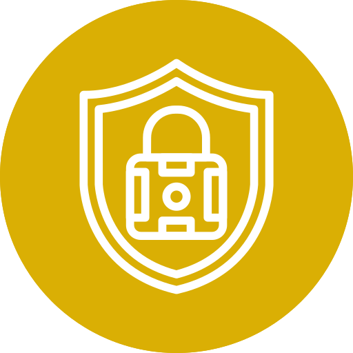 Security Generic color fill icon