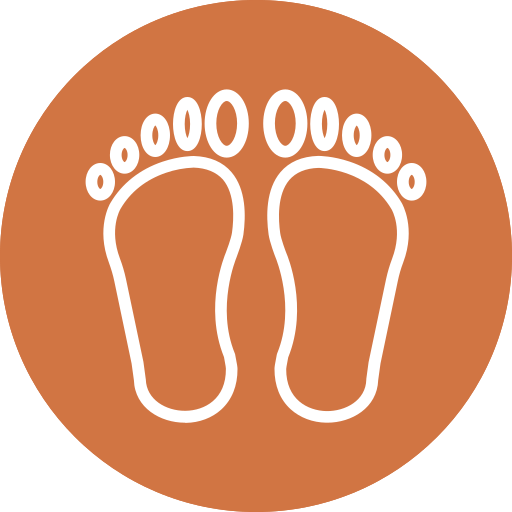 Footprint Generic color fill icon