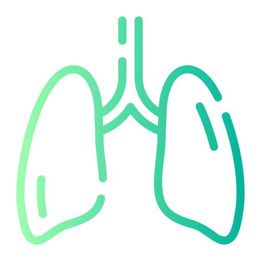 Lungs Generic gradient outline icon