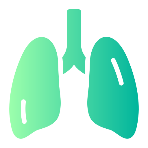 Lungs - Free healthcare and medical icons