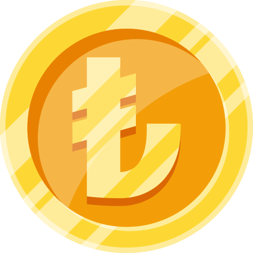 Lira Generic color fill icon