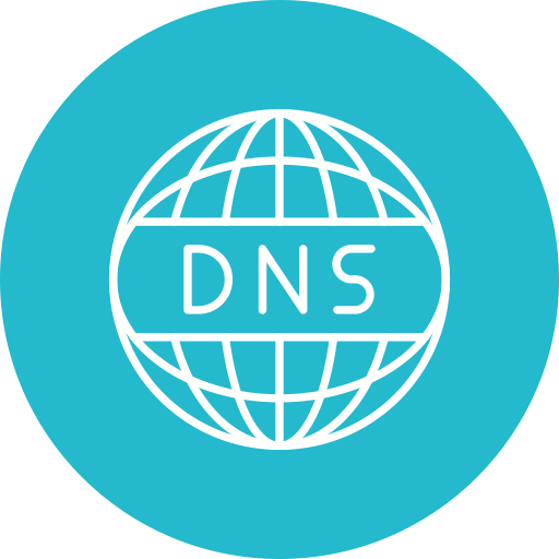 Dns Generic color fill icon