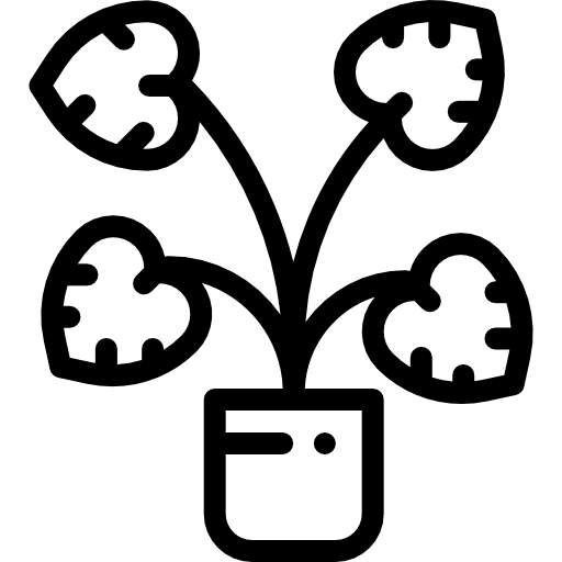 decorativo icono gratis