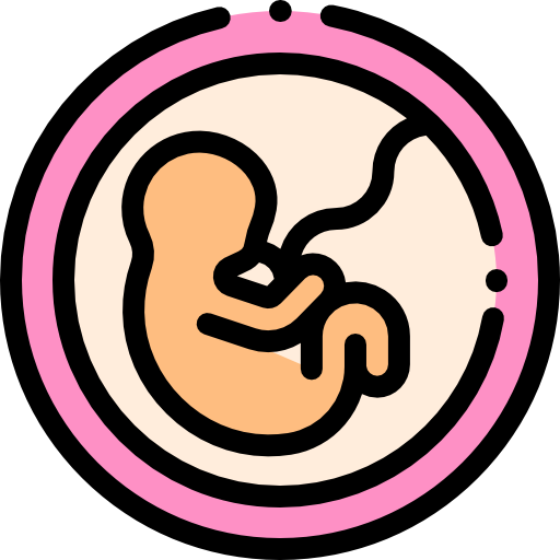 fetus icon