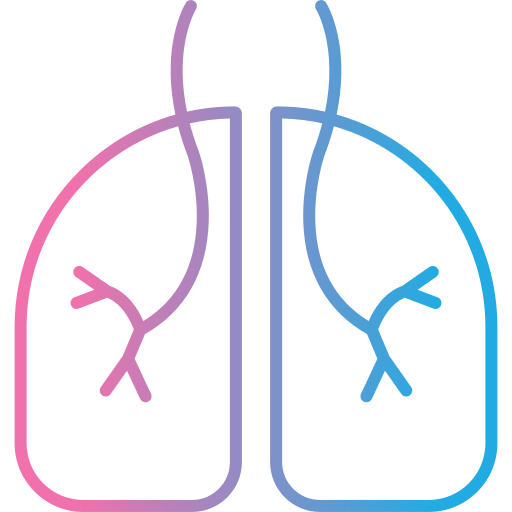 Lungs - free icon