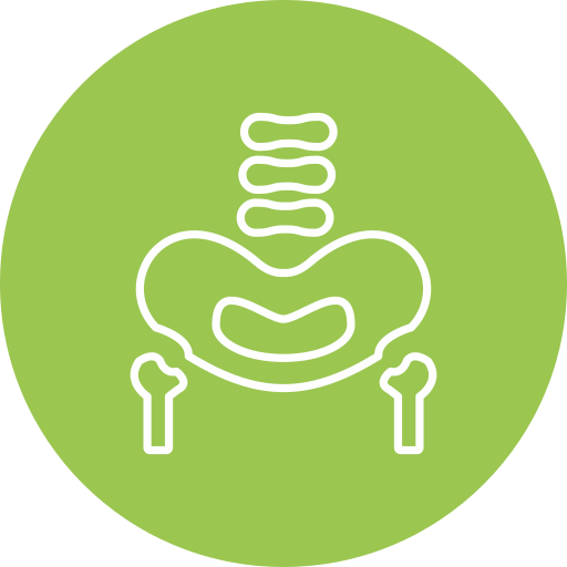 Pelvic bone free icon