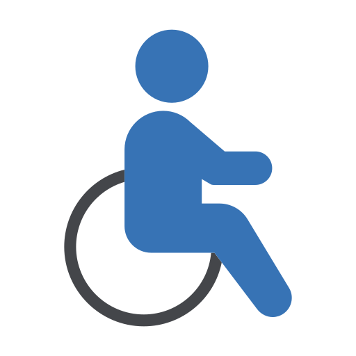 Disability Generic color fill icon