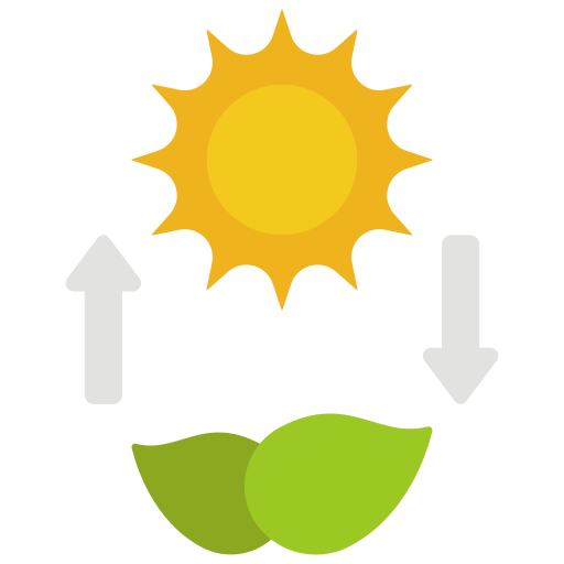 fotosíntesis icono gratis