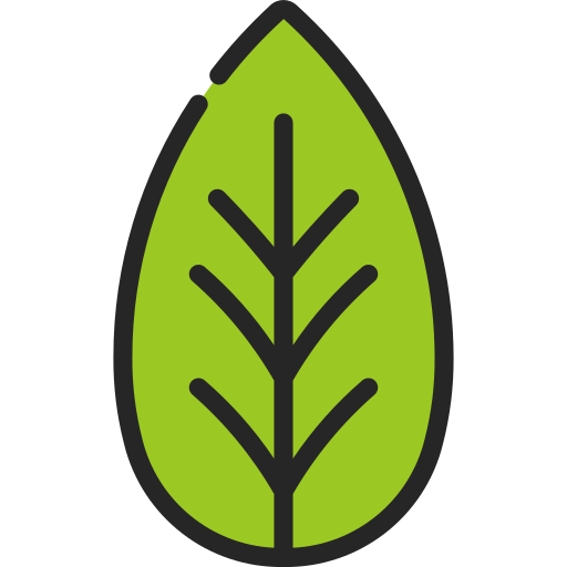 Green leaf icon 23363687 PNG