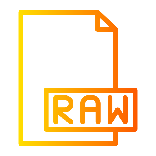 archivo raw icono gratis