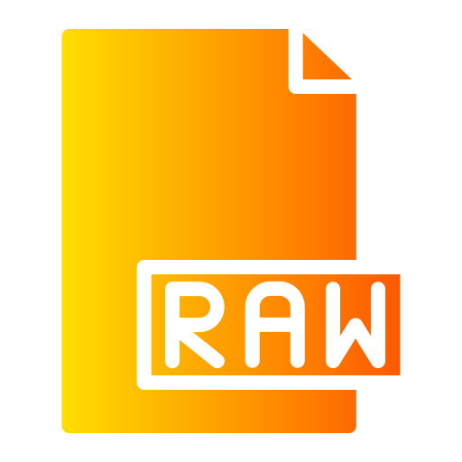 archivo raw icono gratis