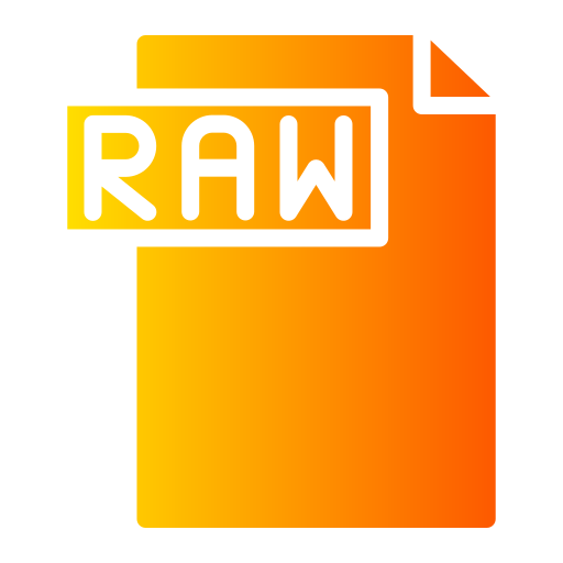 archivo raw icono gratis