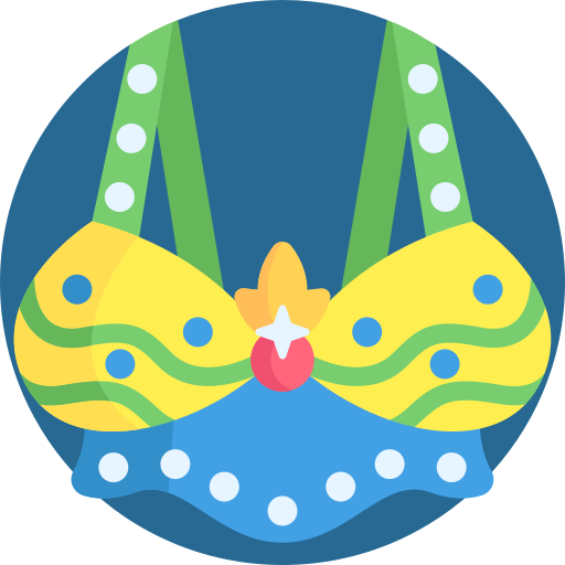 Bra free icon