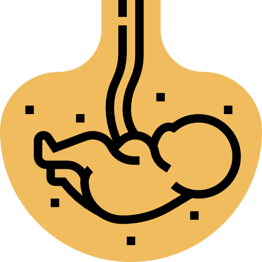 Fetus Free Medical Icons 