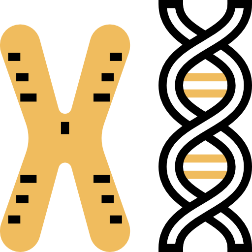 Бесплатные иконки Хромосома, созданные Eucalyp.