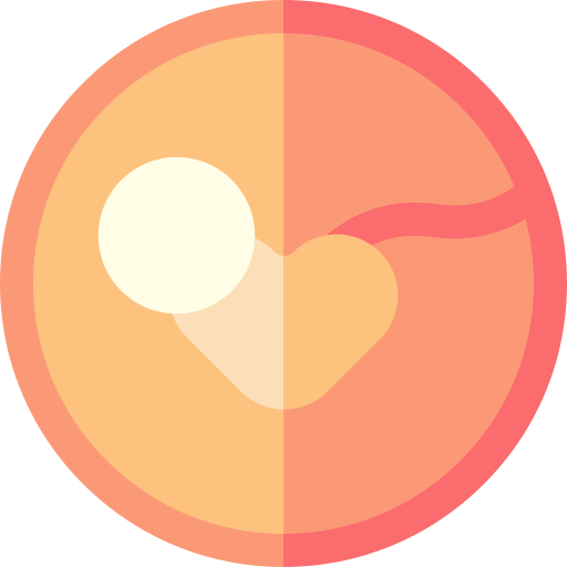 Placenta free icon Placenta free icon