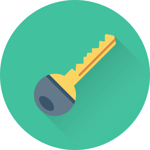 Key Generic color fill icon